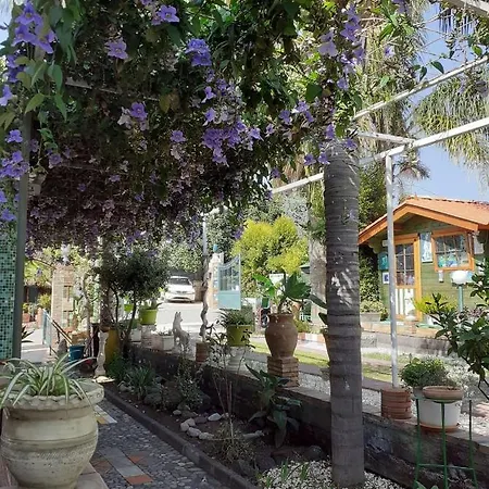 Hébergement de vacances Maison Arci *